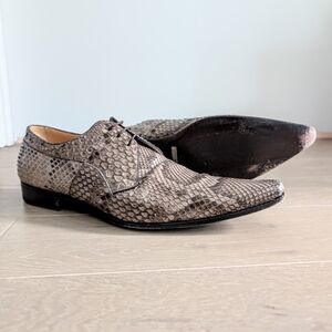 Dolce & Gabbana Python Derby Shoes